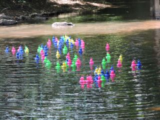 DSCN2598.JPG