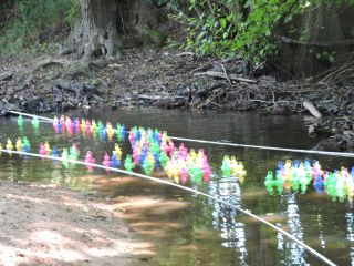 DSCN2901.JPG
