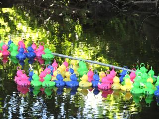 DSCN2909.JPG