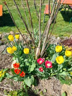 WhatsApp Image 2026-04-06 at 23.36.19.jpeg