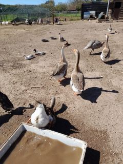 WhatsApp Image 2026-04-06 at 23.36.18 (2).jpeg