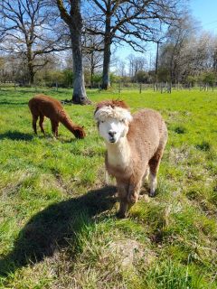 WhatsApp Image 2026-04-06 at 23.36.18.jpeg