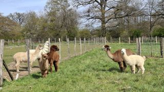 WhatsApp Image 2026-04-05 at 16.00.45.jpeg