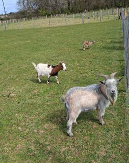 WhatsApp Image 2026-04-05 at 16.00.44 (1).jpeg