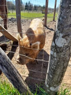 WhatsApp Image 2026-04-06 at 23.36.18 (1).jpeg