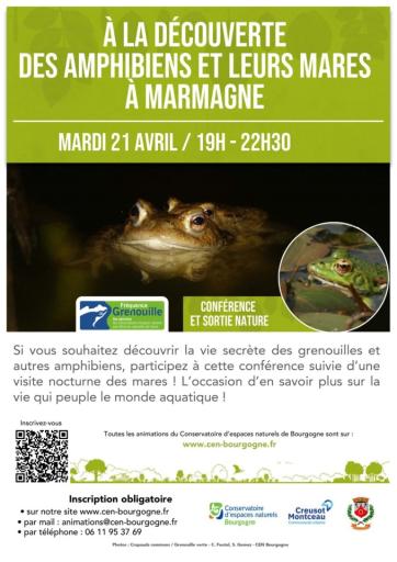 A la d&eacute;couverte des amphibiens