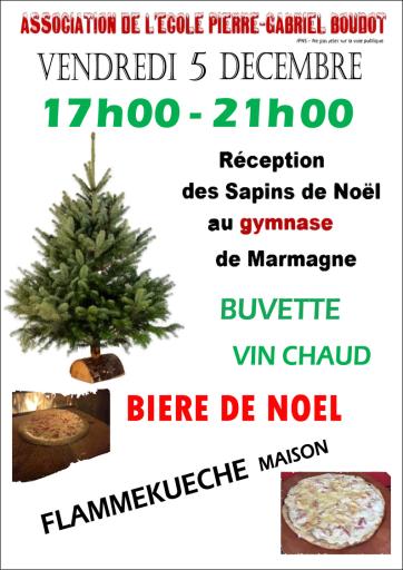 Fête des sapins de Noêl
