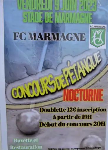 Concours de pétanque vendredi  9 juin