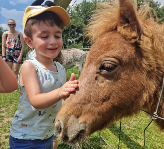 Sortie au parc animalier et fête de l’été à la micro crèche :