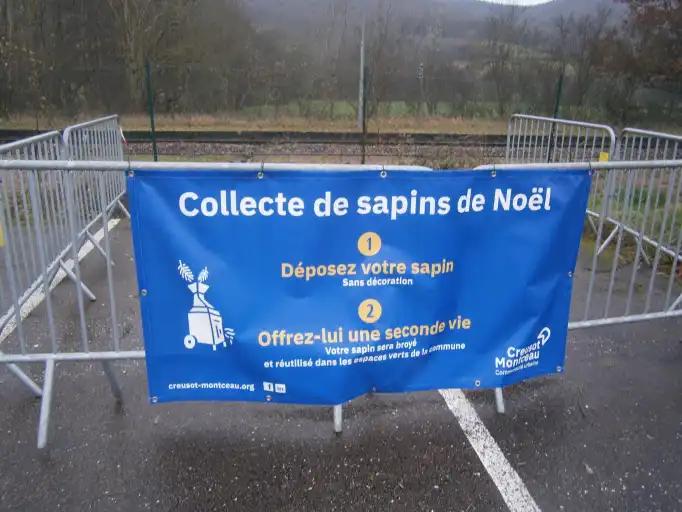 Collecte des sapins de Noël