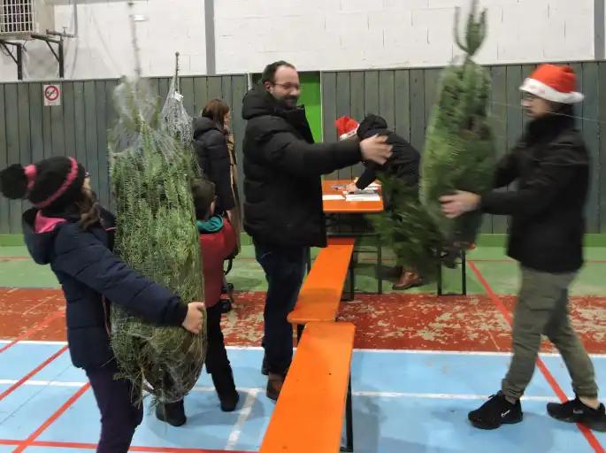 170 sapins regagnent les foyers