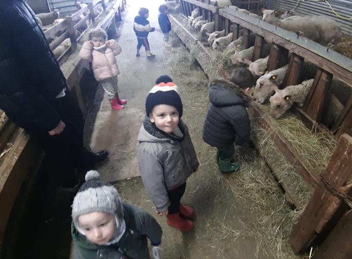 Sortie à la ferme pour les grands de la micro crèche