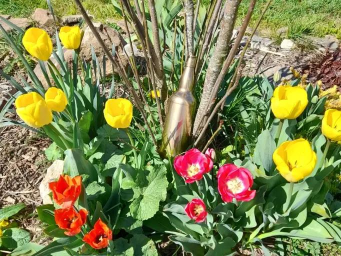 🐰 🍫 Retour en images sur la chasse aux lapins de P&acirc;ques organis&eacute;e par La Fermette Marmignonne