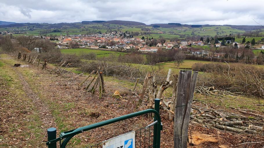 TRAVAUX D ELAGAGE CHEMIN DES VIGNES