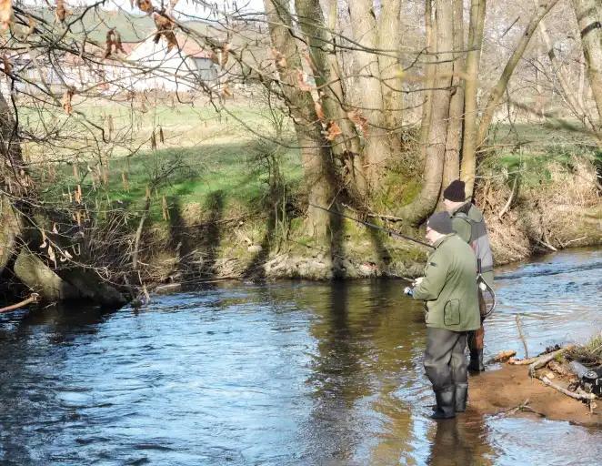La pêche est ouverte dans le Mesvrin