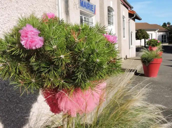 D&eacute;corations pour s'associer &agrave; la campagne octobre rose