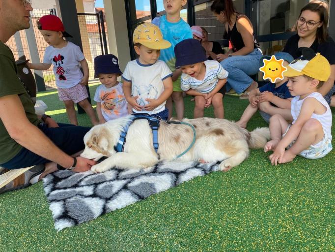 Animation avec Julien d’Anim’maux accompagné de son chien Tornade et de la peluche P’tit Loup à la micro-crèche