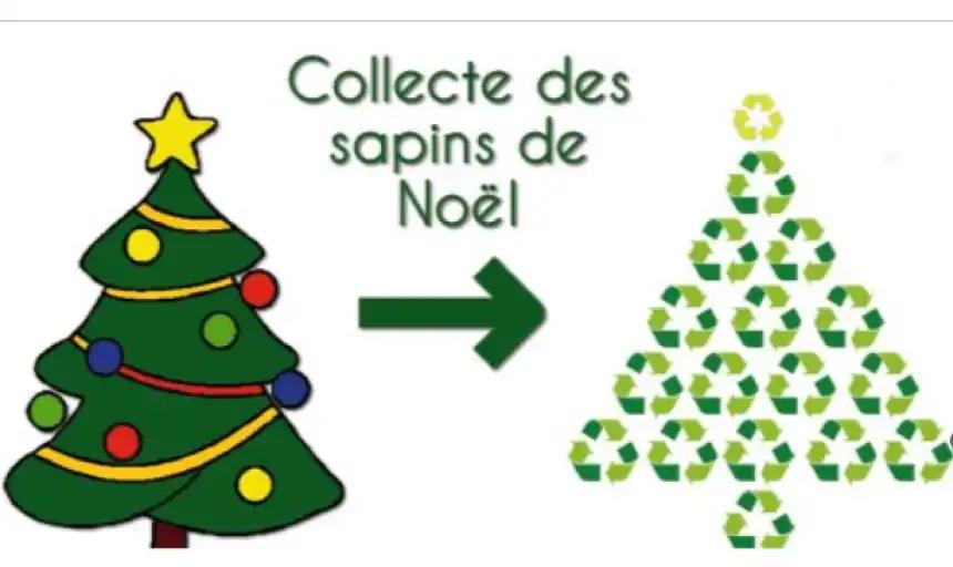 Collecte des sapins de Noël à proximité de la gare