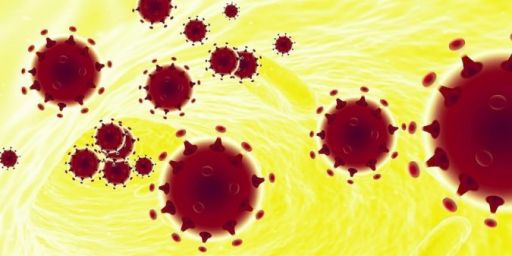 Coronavirus: Communiqué du maire Didier Laubérat