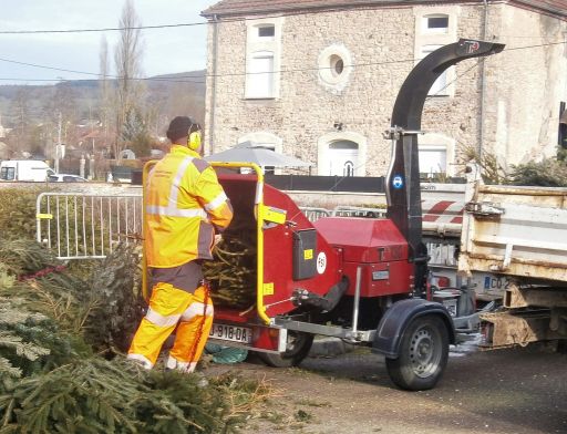 D&eacute;p&ocirc;t des sapins de No&euml;l rue de la gare dans un but &eacute;cologique