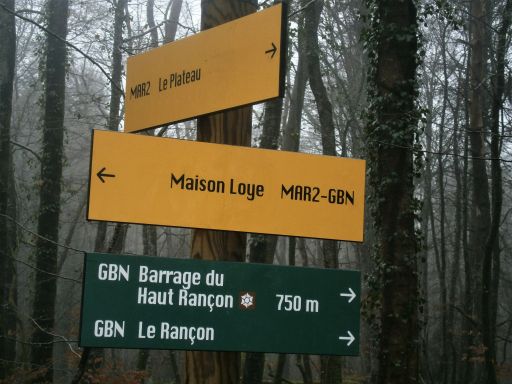 2 Balades vertes à Marmagne